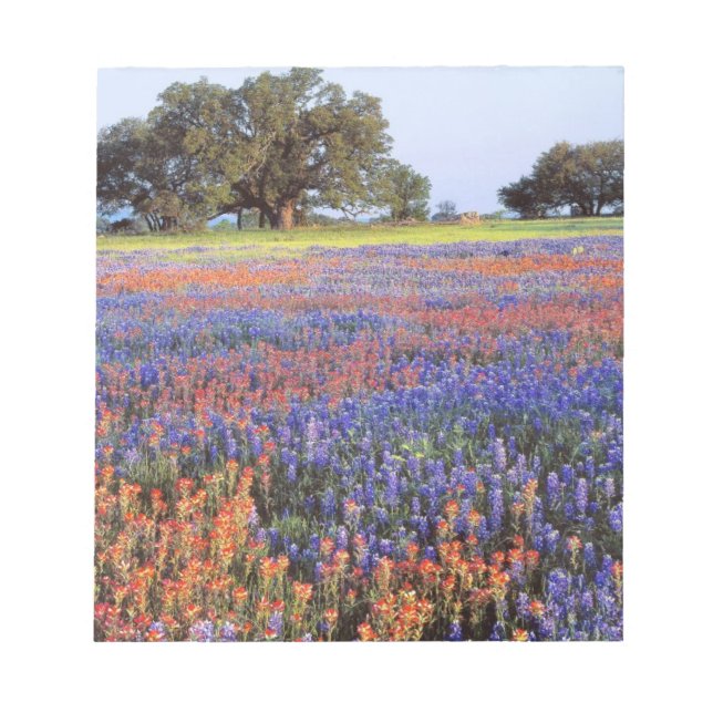 Bloco De Notas EUA, Texas, Llano. Bluebonnets e redbonnets (Frente)