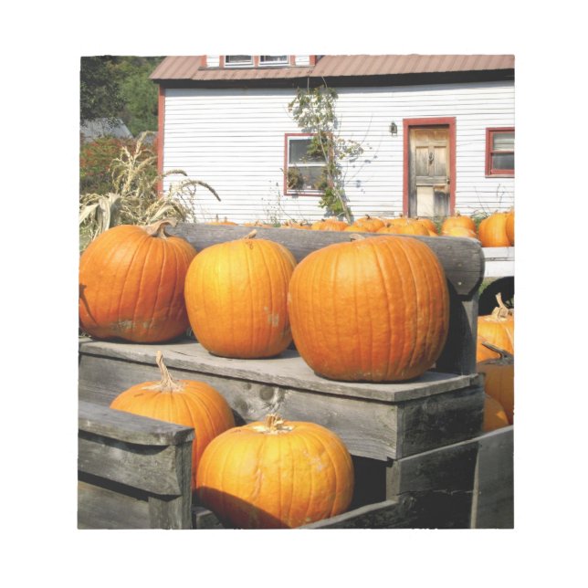 Bloco De Notas EUA, Vermont. Pumpkins (Frente)