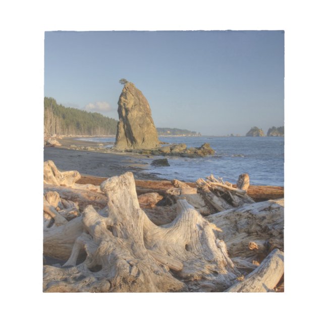 Bloco De Notas EUA, Washington, Parque Nacional Olímpico, Rialto (Frente)