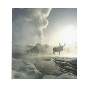 Bloco De Notas EUA, Wyoming, Parque Nacional de Yellowstone. Nasc