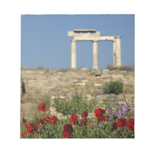 Bloco De Notas Europa, Grécia, Cíclades, Delos. Ruínas de coluna.