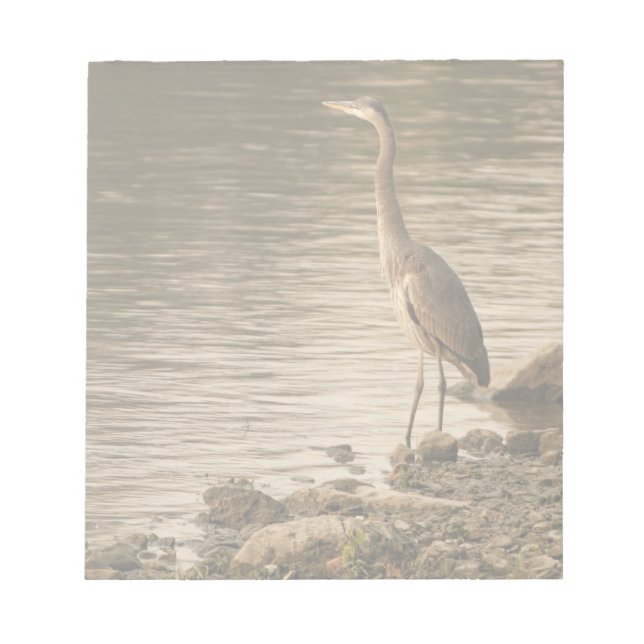 Bloco De Notas Excelente Blue Heron (Frente)