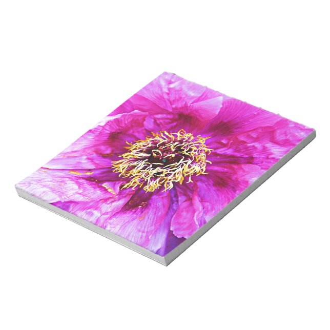 Bloco De Notas Explosão rosa (Invertido)