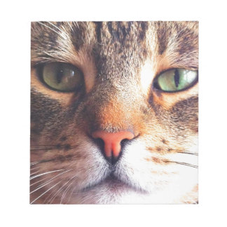 Bloco De Notas Face de Gato