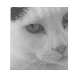 Bloco De Notas Face de gatos brancos e pretos