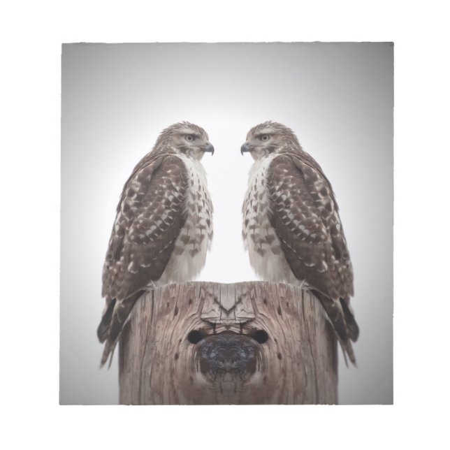 Bloco De Notas Falcões em um cargo (Frente)