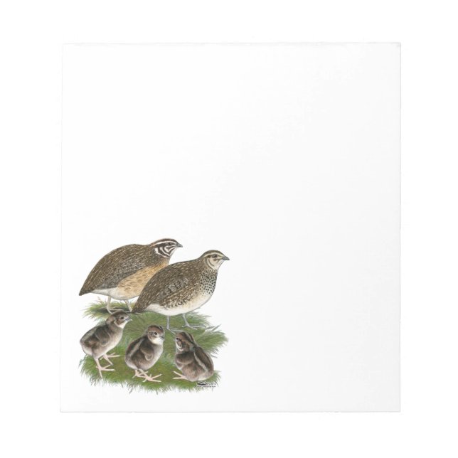 Bloco De Notas Família Coturnix Quail (Frente)