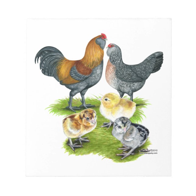 Bloco De Notas Família de Galinhas Ameraucana (Frente)