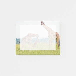 Bloco De Notas Família do girafa das imagens de Getty