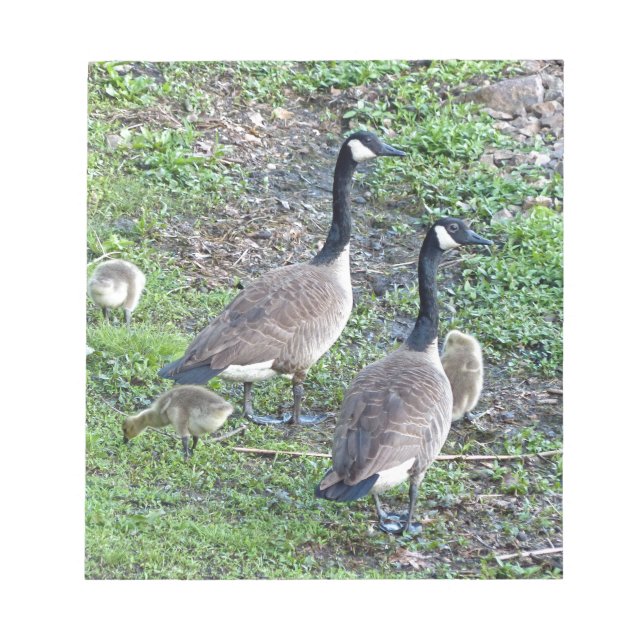 Bloco De Notas Família Geese Canadense (Frente)