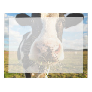 Bloco De Notas Fazendas   Mastigação De Vaca Holstein
