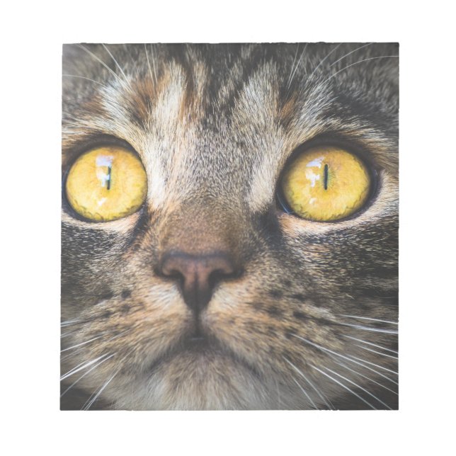 Bloco De Notas Fechamento de Gato com Olhos Amarelos (Frente)