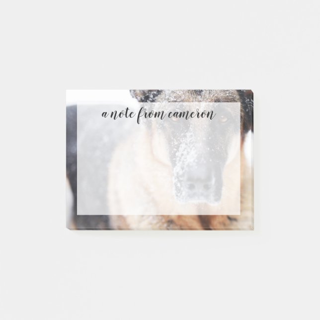 Bloco De Notas Fecho Do German shepherd Coberto Na Neve (Frente)