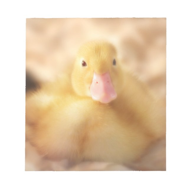 Bloco De Notas Felpudo Páscoa de Pato Amarelo (Frente)