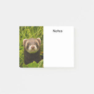 Bloco De Notas Ferreto castanho-bonito na grama