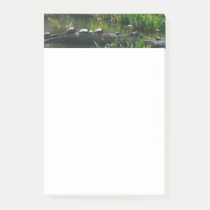 Bloco De Notas Fileira de Tartarugas Foto Verde