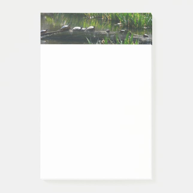 Bloco De Notas Fileira de Tartarugas Foto Verde (Frente)
