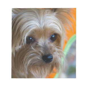 Bloco De Notas Filhote de cachorro da senhora yorkshire terrier