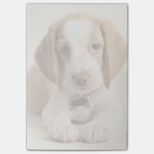 Bloco De Notas Filhote de cachorro do lebreiro