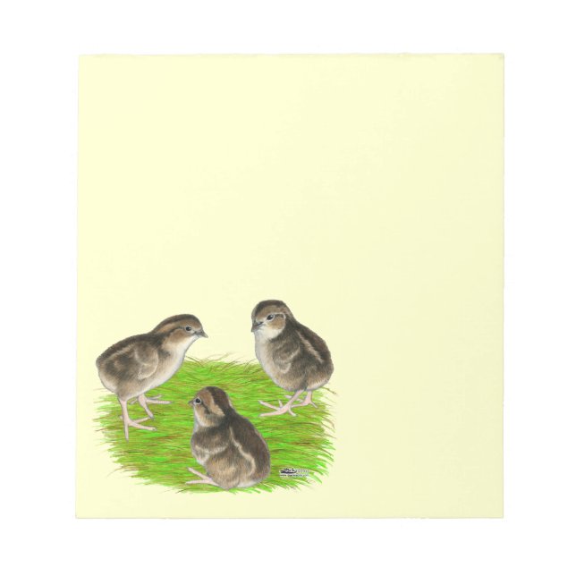 Bloco De Notas Filhotes de Codorna Bobwhite (Frente)