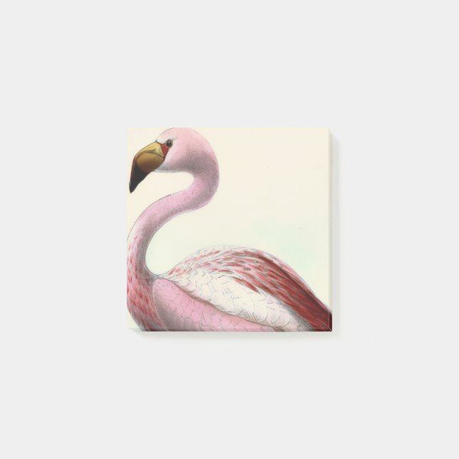 Bloco De Notas Flamingo Antigo (Frente)