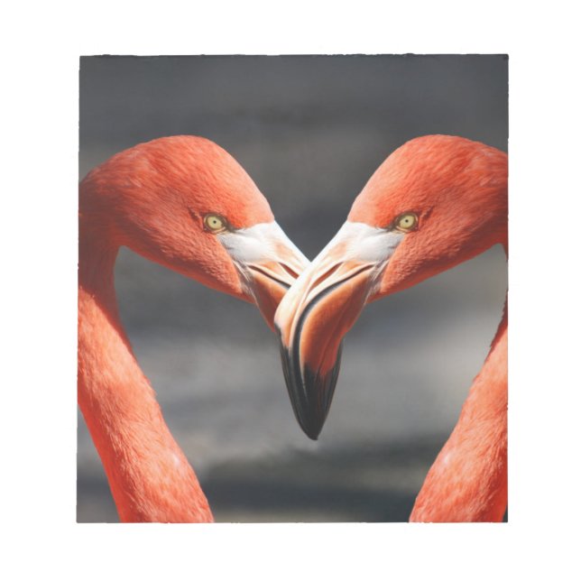 Bloco De Notas Flamingoes no Amor (Frente)