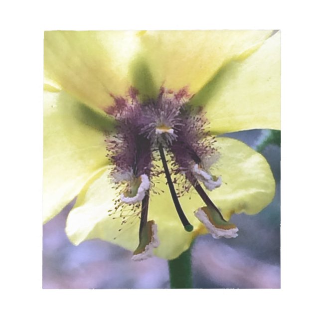 Bloco De Notas Flor Amarela 3 (Frente)