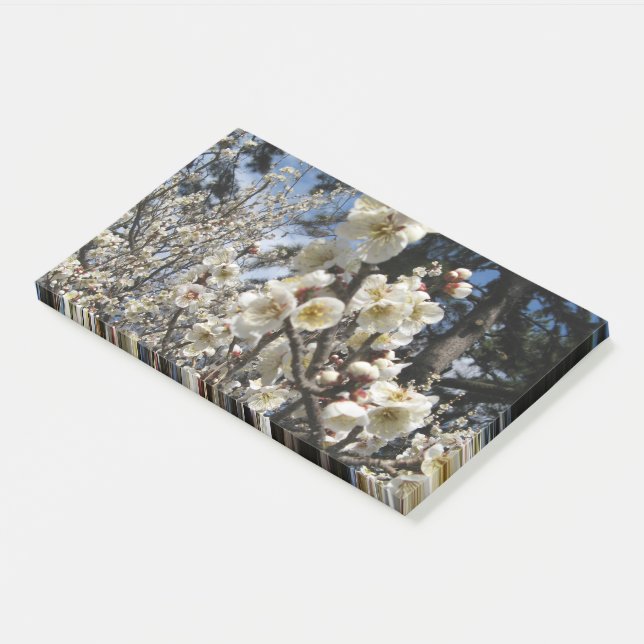 Bloco De Notas Flor branco de cereja / Sakura / ク サ(桜) (Inclinado)