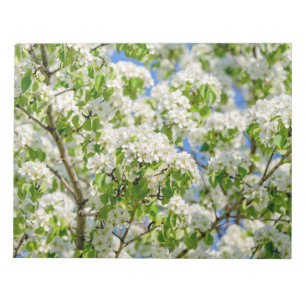 Bloco De Notas Flor da maçã de caranguejo