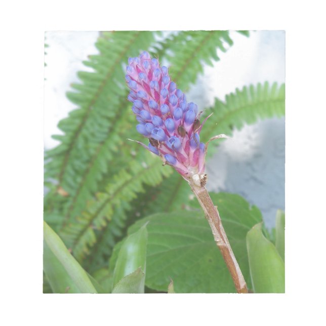 Bloco De Notas Flor de Bromelia de Cone Azul (Frente)