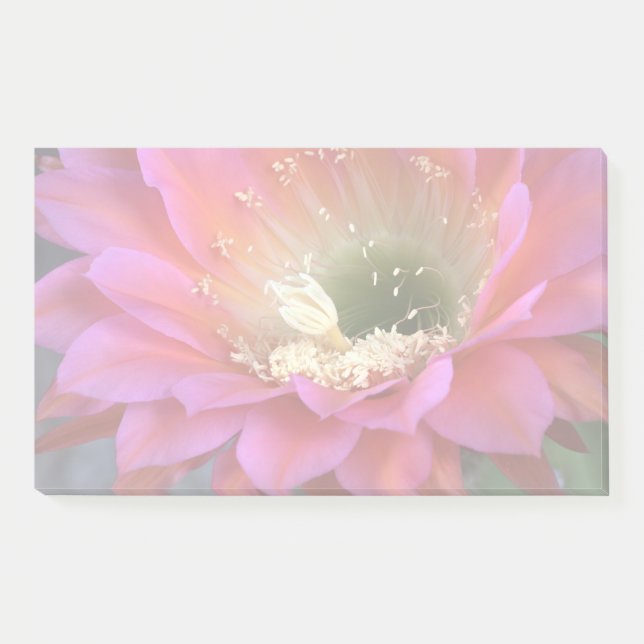 Bloco De Notas Flor de cacto rosa no deserto (Frente)