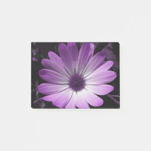 Bloco De Notas Flor de Daisy Roxo Posta que anota Pad