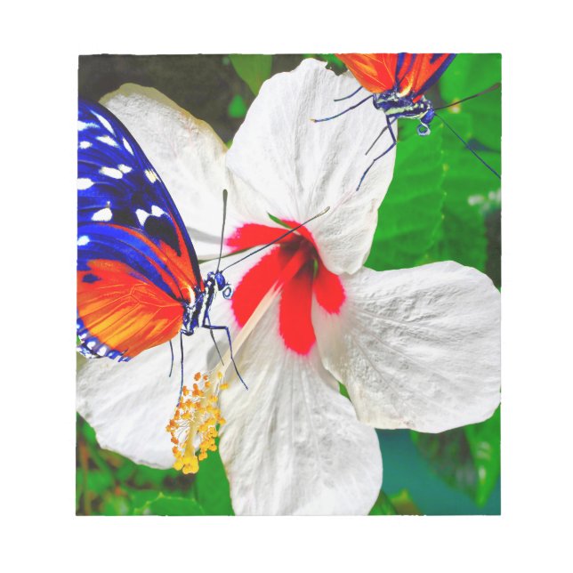 Bloco De Notas Flor de Hibiscus com 2 borboletas de Tigre (Frente)