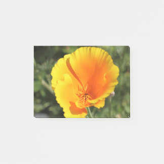 Bloco De Notas Flor de papoila da Califórnia