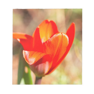 Bloco De Notas Flor de Tulipas Vermelhas