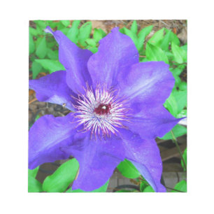 Bloco De Notas Flor do Clematis roxo