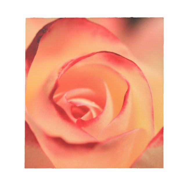 Bloco De Notas Flor rosa de laranja rosa (Frente)