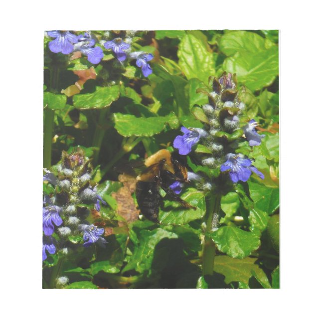 Bloco De Notas Flor Roxo e Abelhas (Frente)