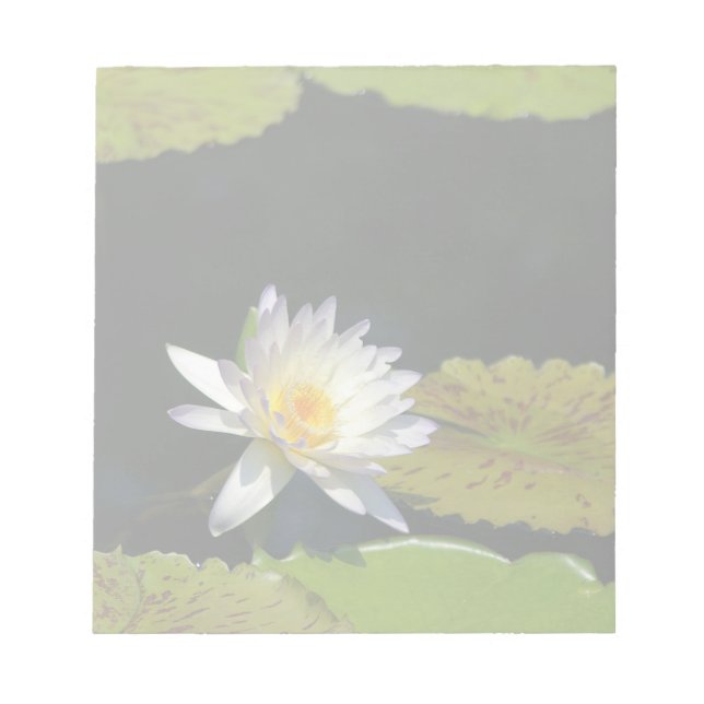 Bloco De Notas Flor Waterlily White Lotus (Frente)