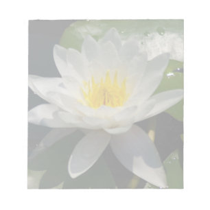 Bloco De Notas Flor Waterllly do Lotus Branco