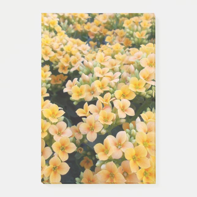 Bloco De Notas Flores Amarelas (Frente)