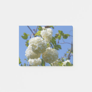 Bloco De Notas Flores brancas de rosa de guelder