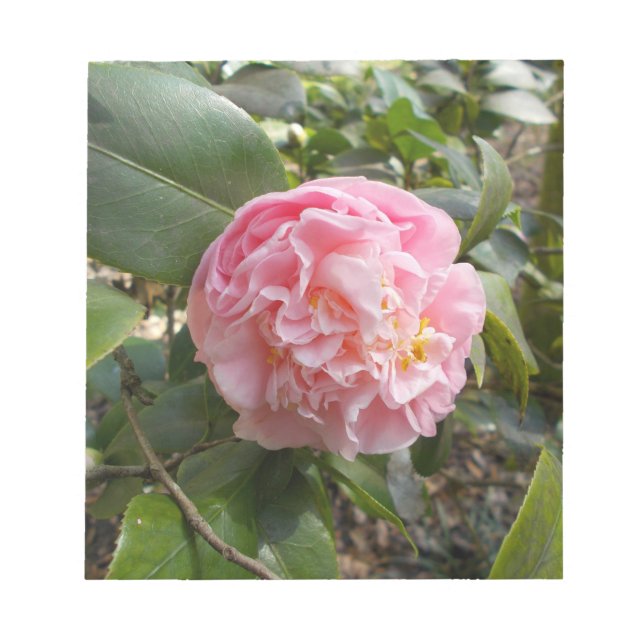 Bloco De Notas Flores Cor-de-Rosa (Frente)