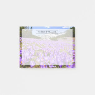Bloco De Notas Flores   Crocus Pirin Mountain Park Bulgária