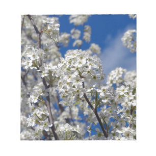 Bloco De Notas Flores da pera de Bradford