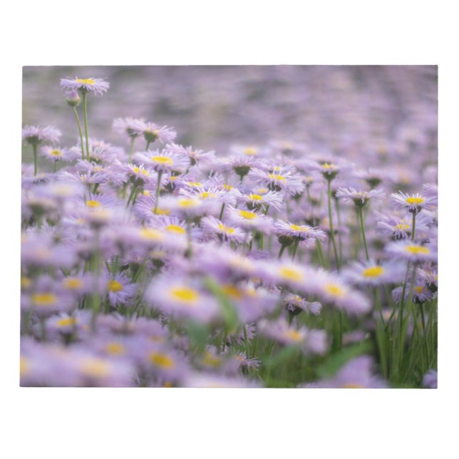 Bloco De Notas Flores de Aster Roxo (Frente)
