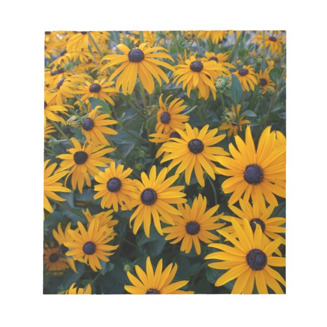 Bloco De Notas Flores de margarida amarela. (Frente)