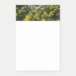 Bloco De Notas Flores de primavera de Daffodils Amarelos e Branco