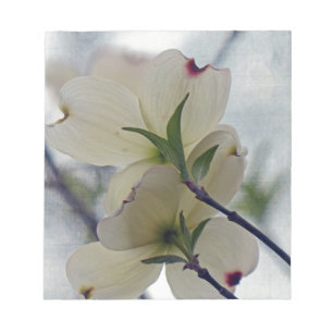 Bloco De Notas Flores do Dogwood