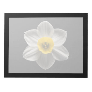 Bloco De Notas Flores Flor Branca De Daffodilo